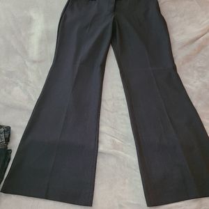 Express editor dress pants 14 long